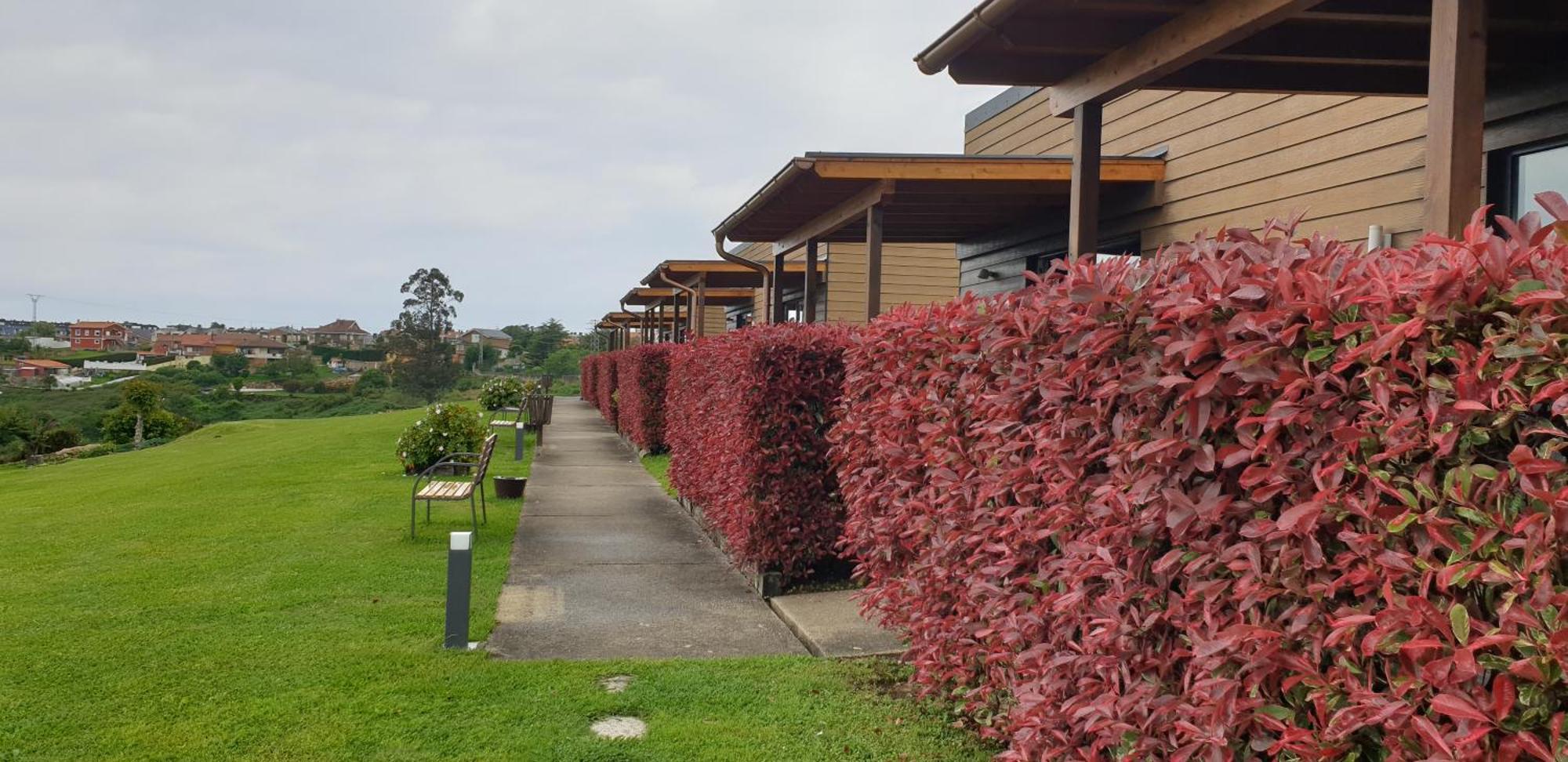 Bungalows Elma Suances Exterior foto